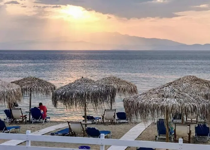 Aggelos 스칼라소티로스